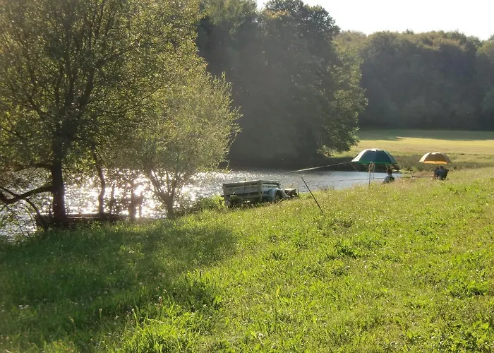 Chalet En Auvergne -peche Roumégoux